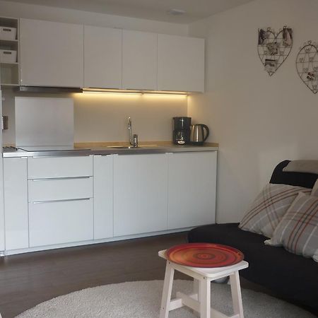 Apartamento Les Myosotis Les Deux Alpes Exterior foto